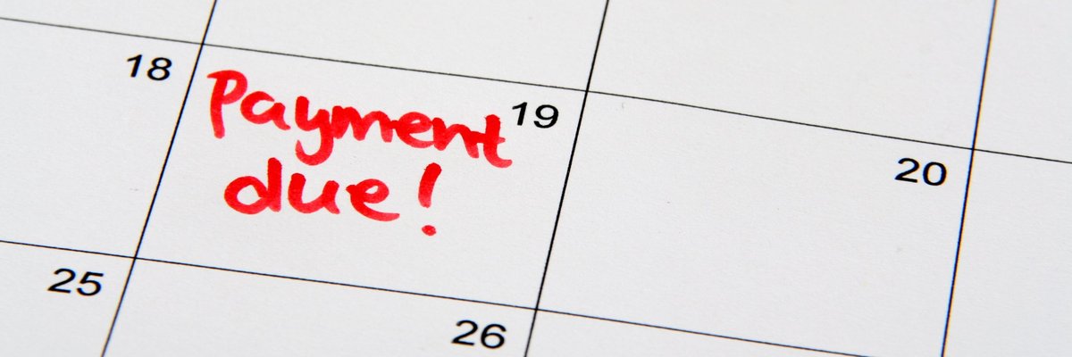 Calendar page that reads payment due on the 19th.