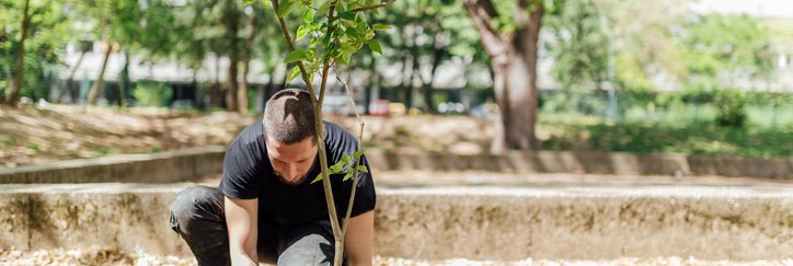 A man planting a tree in a park with larger trees behind him.