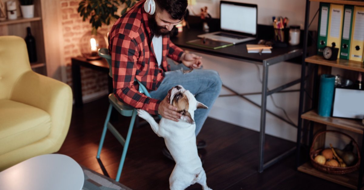 A man wearing headphones and working from a desk in his living room while petting his dog.