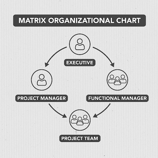 Image of matrix organizational chart
