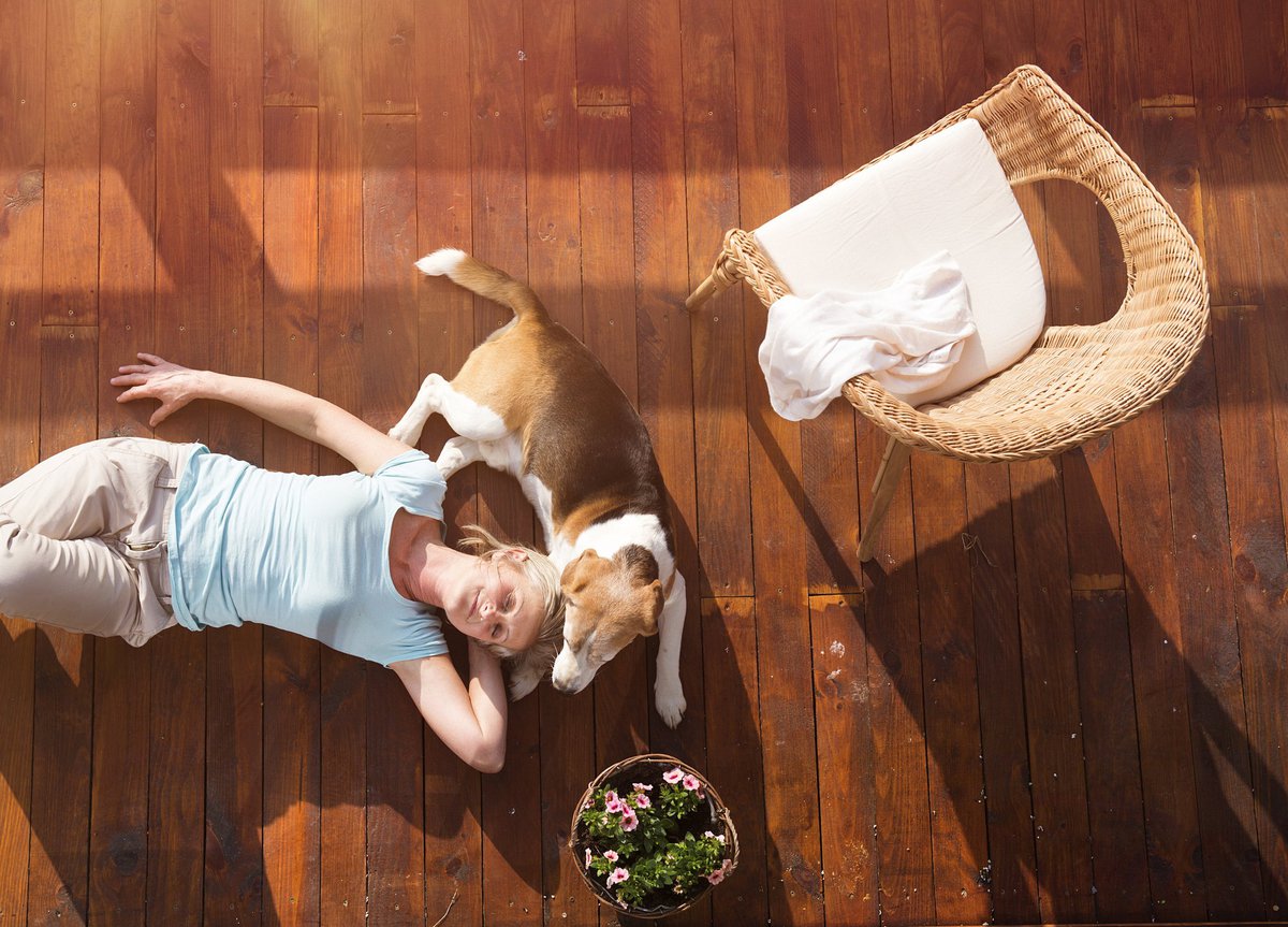 mature woman lying down on deck with her head resting against a beagle -- pet dog owner