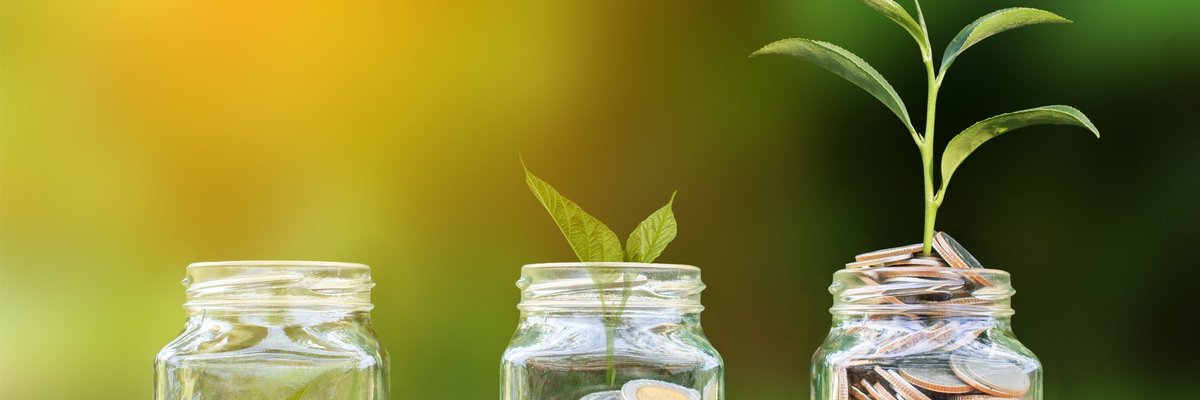 plant growing out of jar of coins