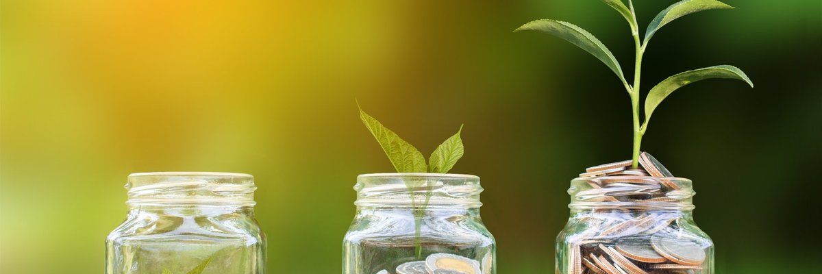 plant growing out of jar of coins
