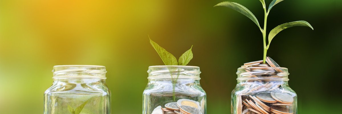 plant growing out of jar of coins
