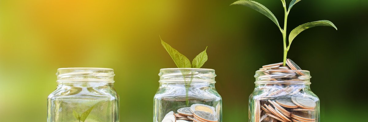 plant growing out of jar of coins