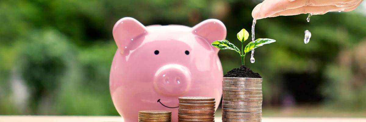 An ascending stack of coins being watered with a sprout coming from the tallest stack and a piggy bank behind.