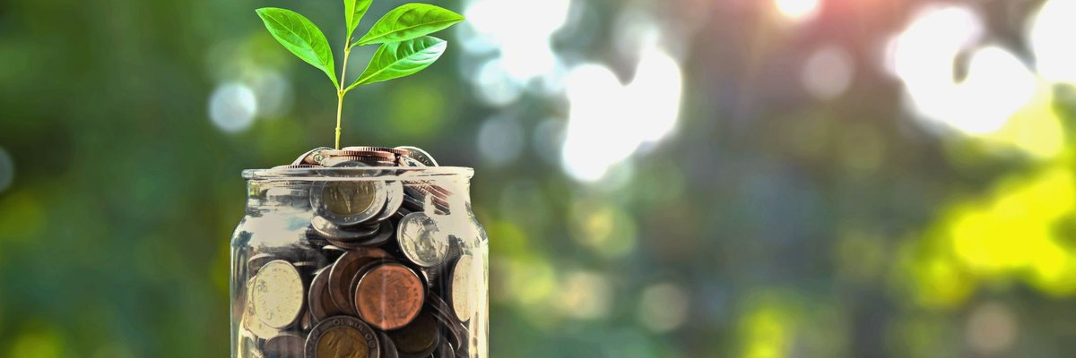 Jar full of money with plant growing out of it.