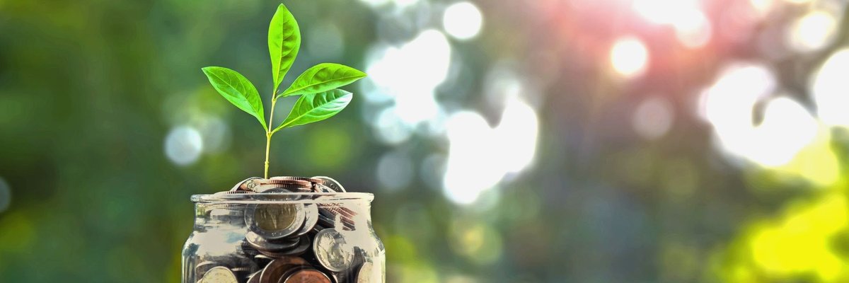 Jar of coins with a plant growing out of it