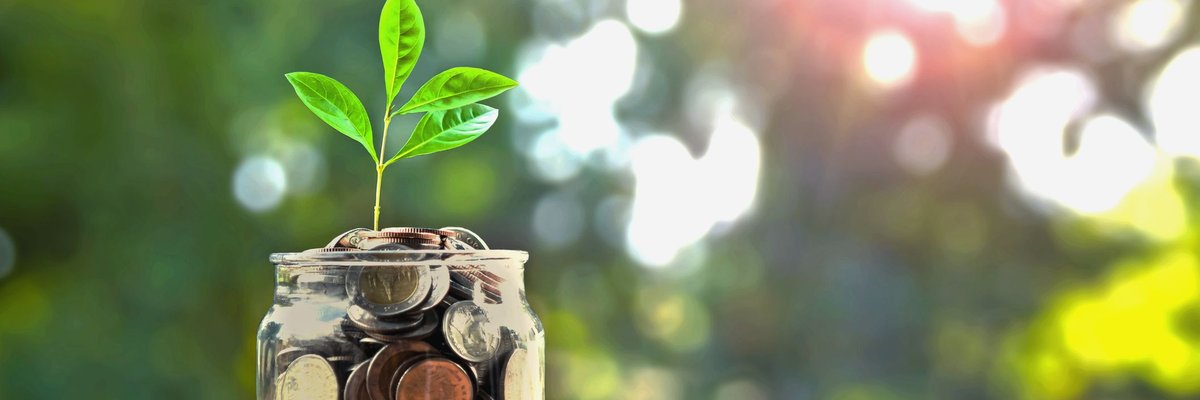 Jar full of money with plant growing out of it.