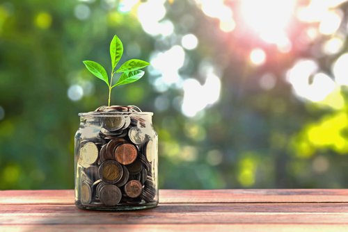 Jar full of money with plant growing out of it.