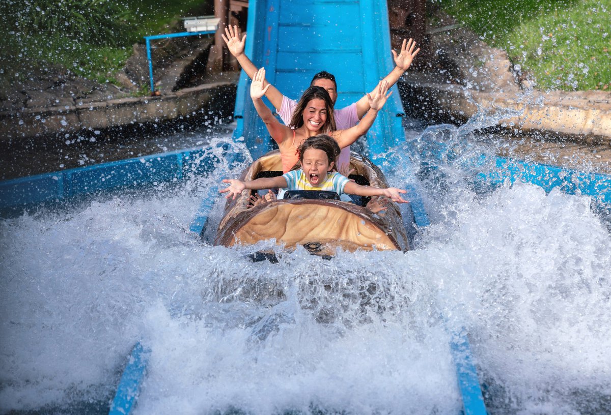 A family cheering while splashing into the water on a theme park log ride.