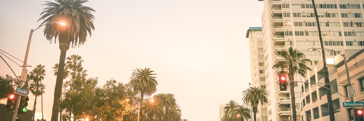 People crossing a city street in Los Angeles that's lined with palm trees.