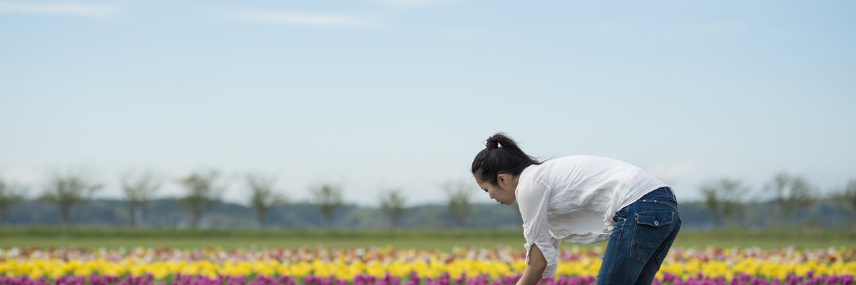 A person standing in a field of colorful tulips.