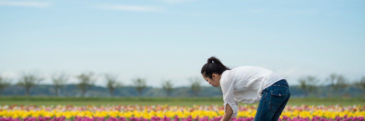 A person standing in a field of colorful tulips.