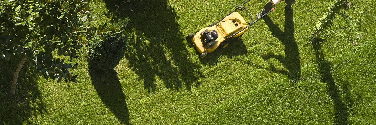 A person pushing a lawn mower across a large, green lawn.