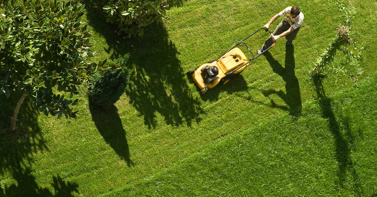 A person pushing a lawn mower across a large, green lawn.