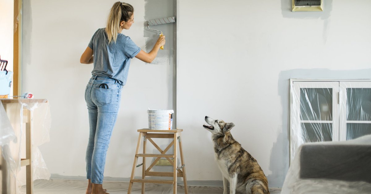 A person painting a wall in their living room while their dog watches.