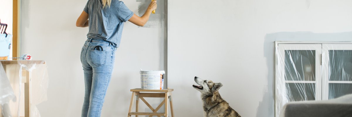 A person painting a wall in their living room while their dog watches.
