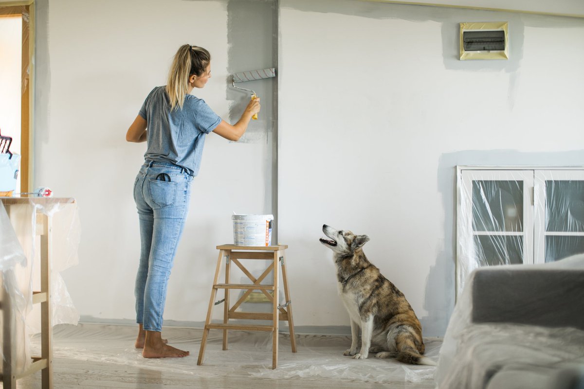 A person painting a wall in their living room while their dog watches.