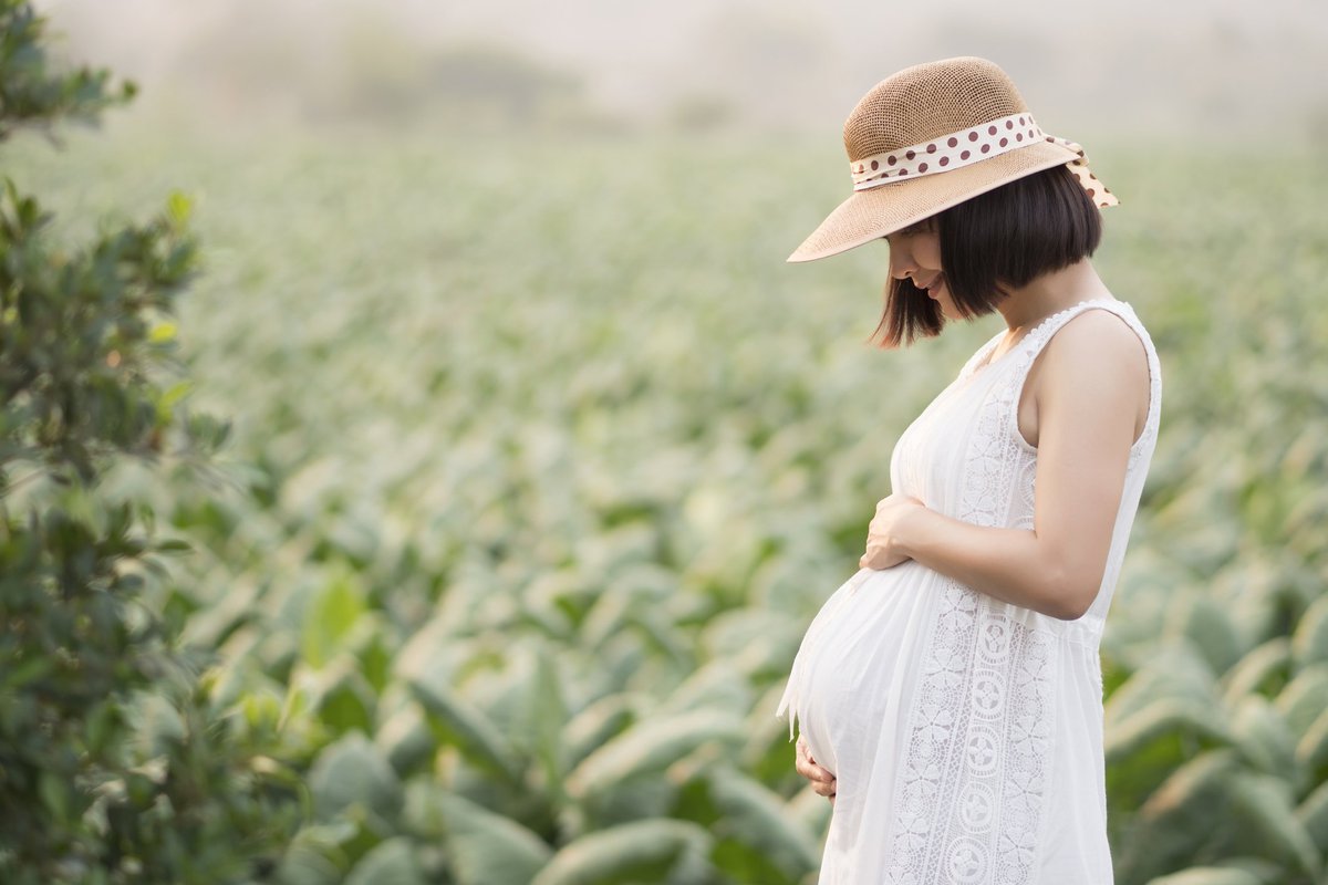 pregnant woman in summery hat standing in cornfield