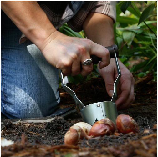 A bulb planter being used in the garden.