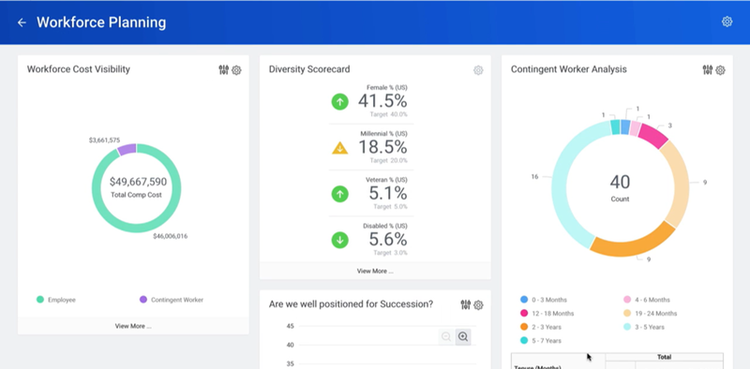 A screenshot of Workday's analytics for auditing workforce metrics.