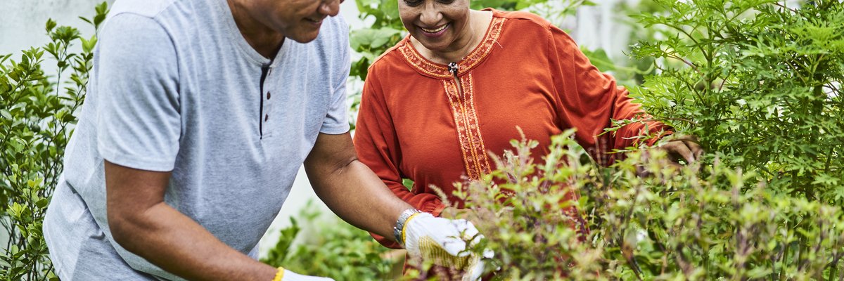 Two older people smiling while gardening in their backyard.