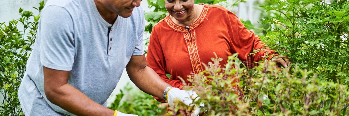 Two older people smiling while gardening in their backyard.