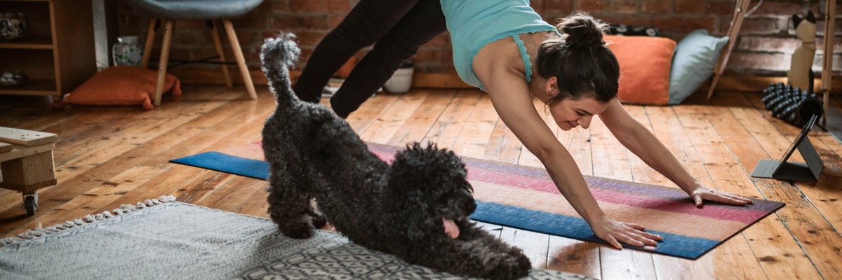 A woman and her dog doing yoga together in a living room.