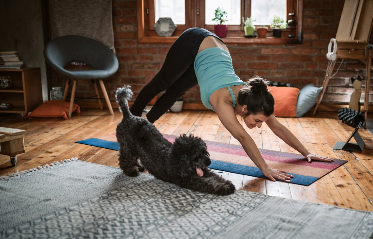A woman and her dog doing yoga together in a living room.