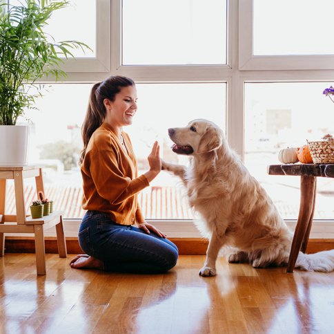 How Your Dog Can Impact the Cost of Homeowners Insurance