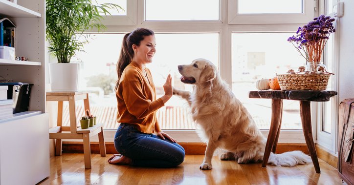 A smiling woman sitting on the hardwood floor of her living room and playing with her dog.