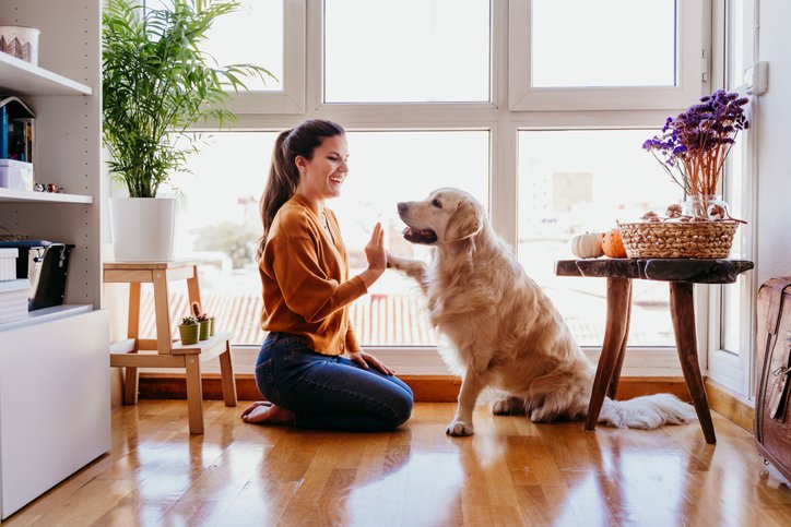 A smiling woman sitting on the hardwood floor of her living room and playing with her dog.