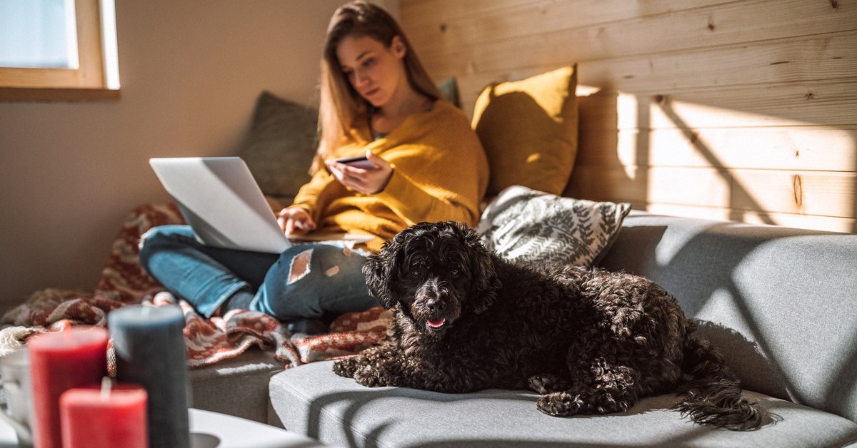 A woman sitting next to her dog on her couch in the sun while holding a credit card and looking something up on her laptop.