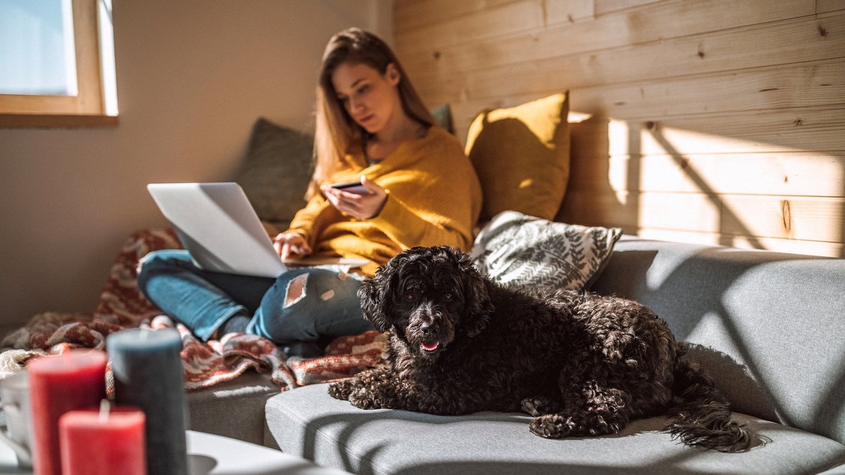 3 Top All-Purpose Credit Cards: $200 Welcome Bonuses and 2% Unlimited Cash Rewards Right Now