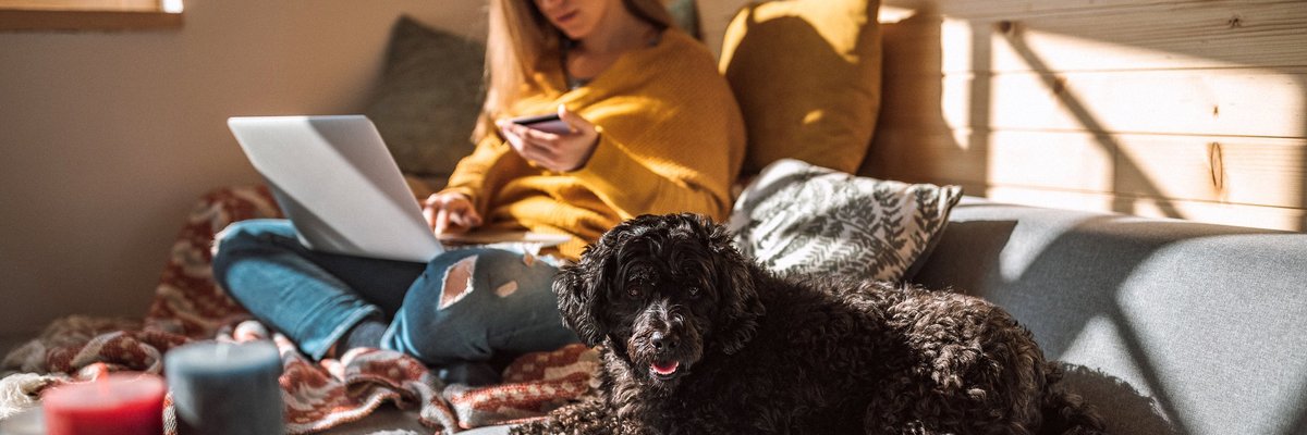 A woman sitting next to her dog on her couch in the sun while holding a credit card and looking something up on her laptop.