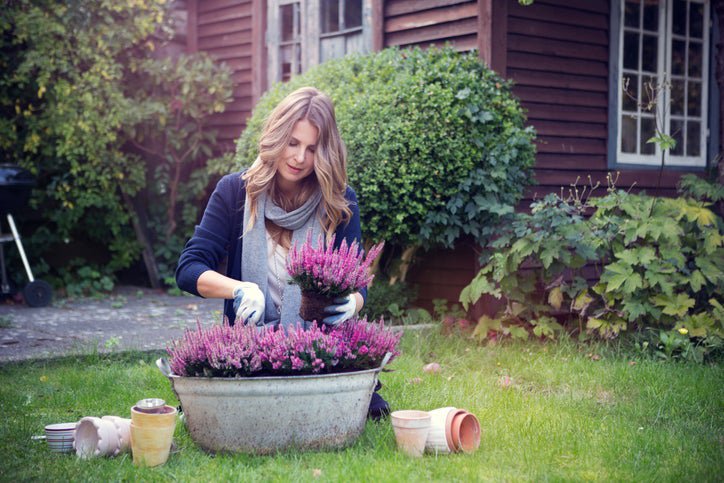 A woman planting flowers in a large pot in her yard with her house in the background.