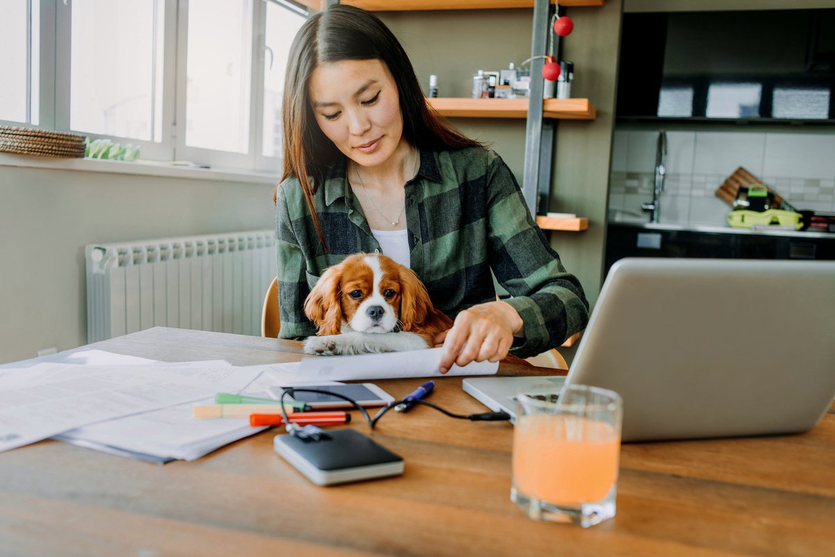 A woman working at home with her dog in her lap.