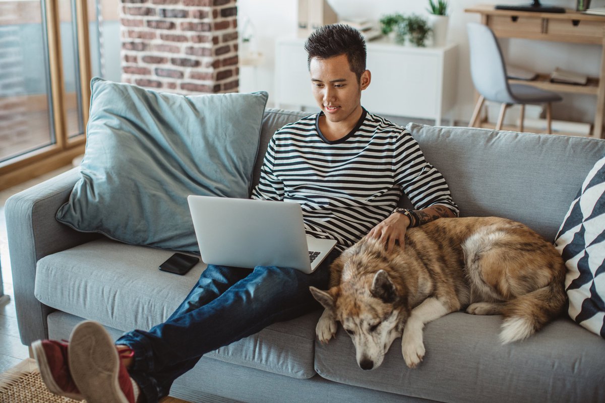 A young man working on a laptop sitting on his sofa next to his dog.