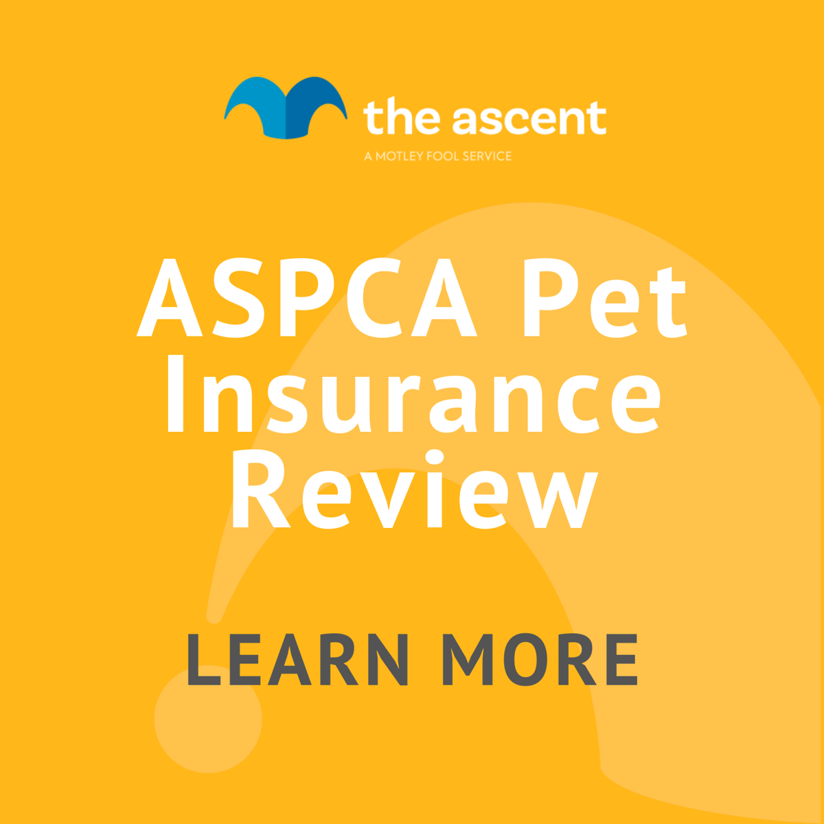 ASPCA Pet Insurance Review | The Motley Fool