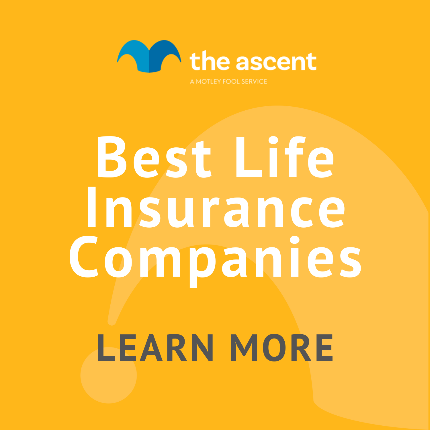 Best Life Insurance Companies For 2024 | The Motley Fool