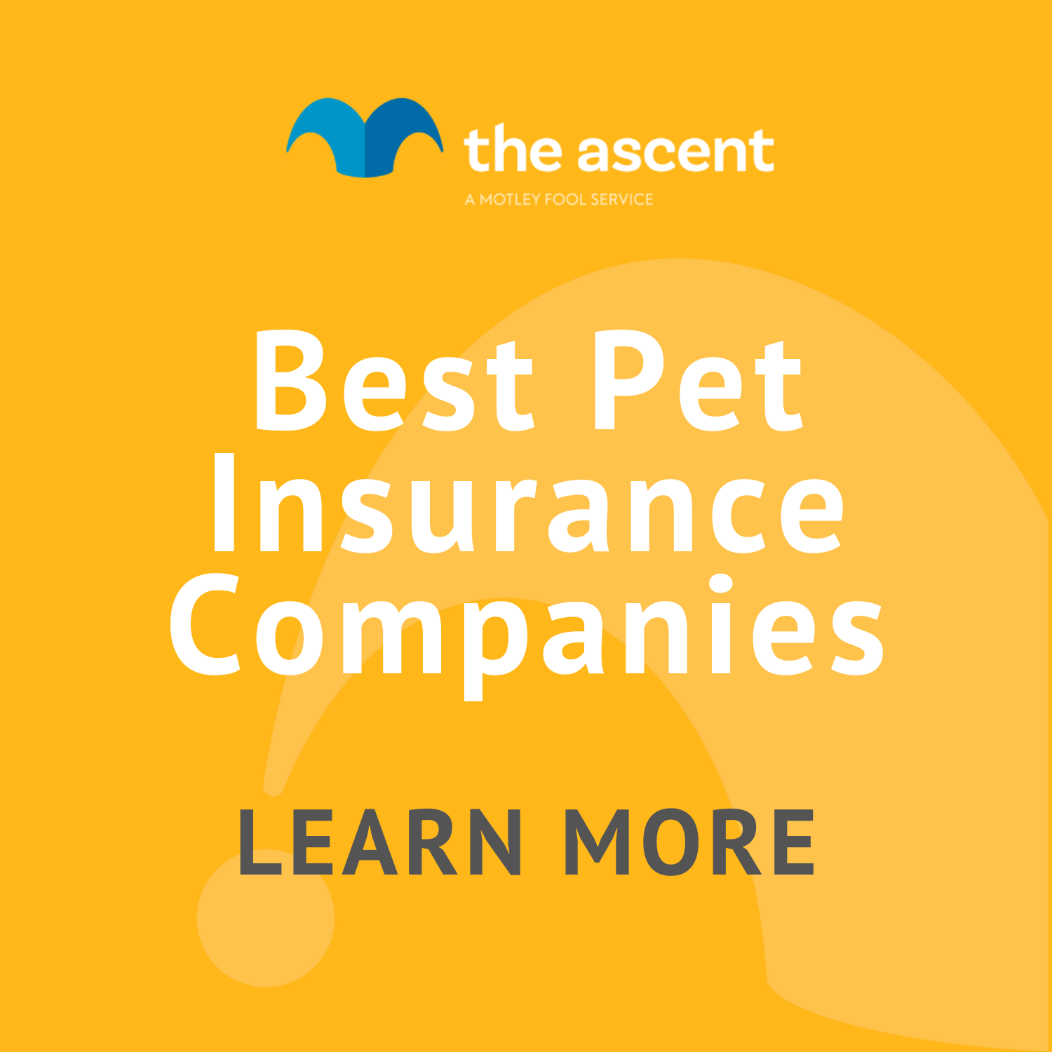 Best Pet Insurance Companies 2024 | The Motley Fool