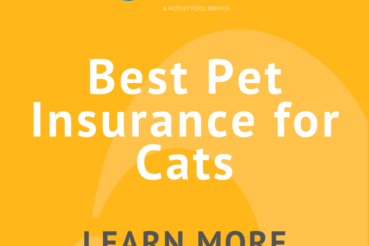 Top rated pet 2024 insurance
