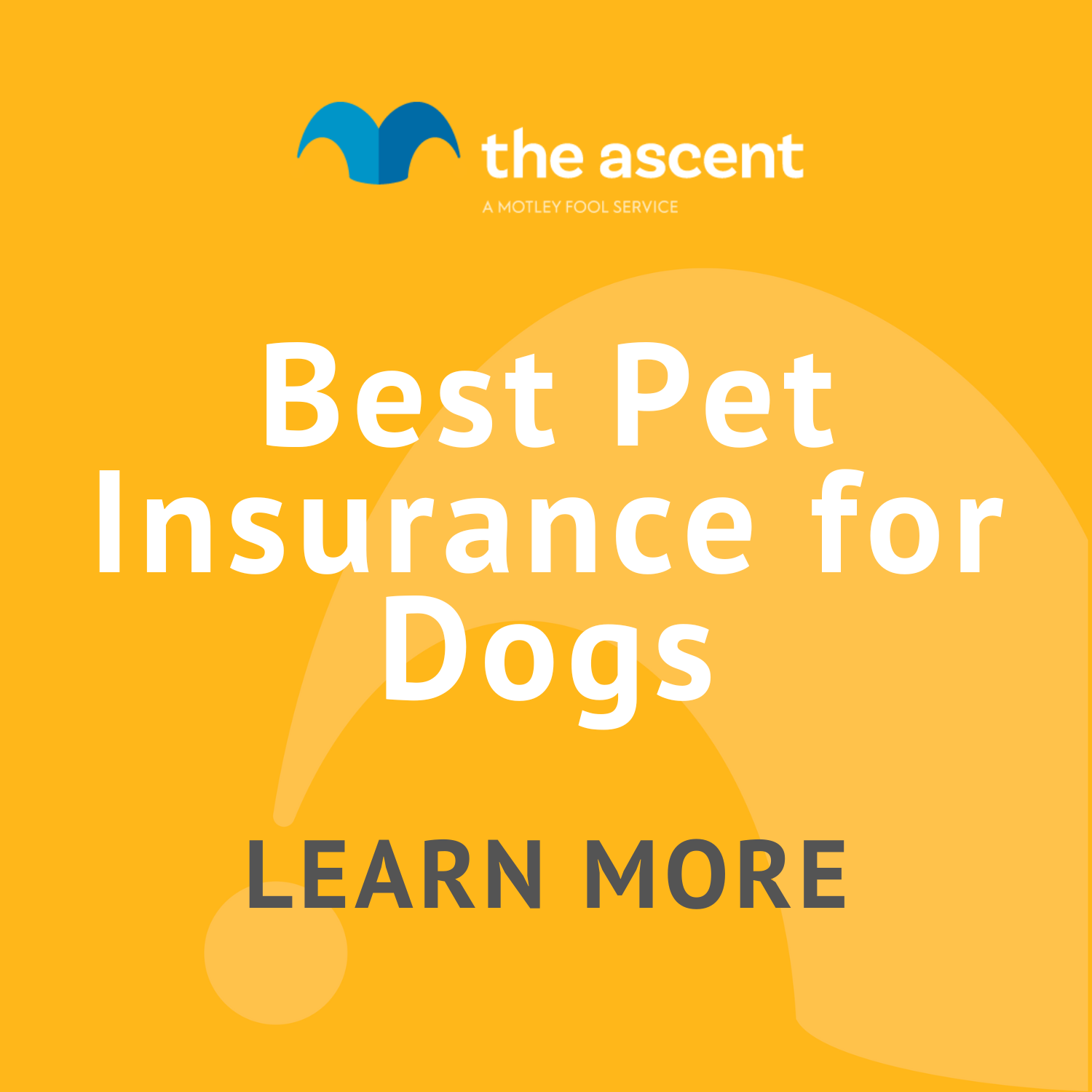 Best Pet Insurance For Dogs | The Motley Fool