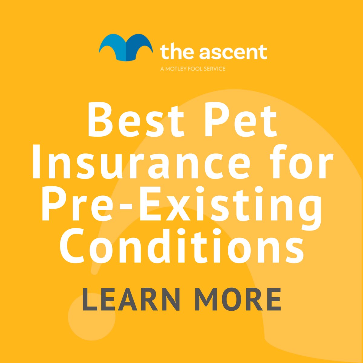 does dog insurance cover pre existing conditions
