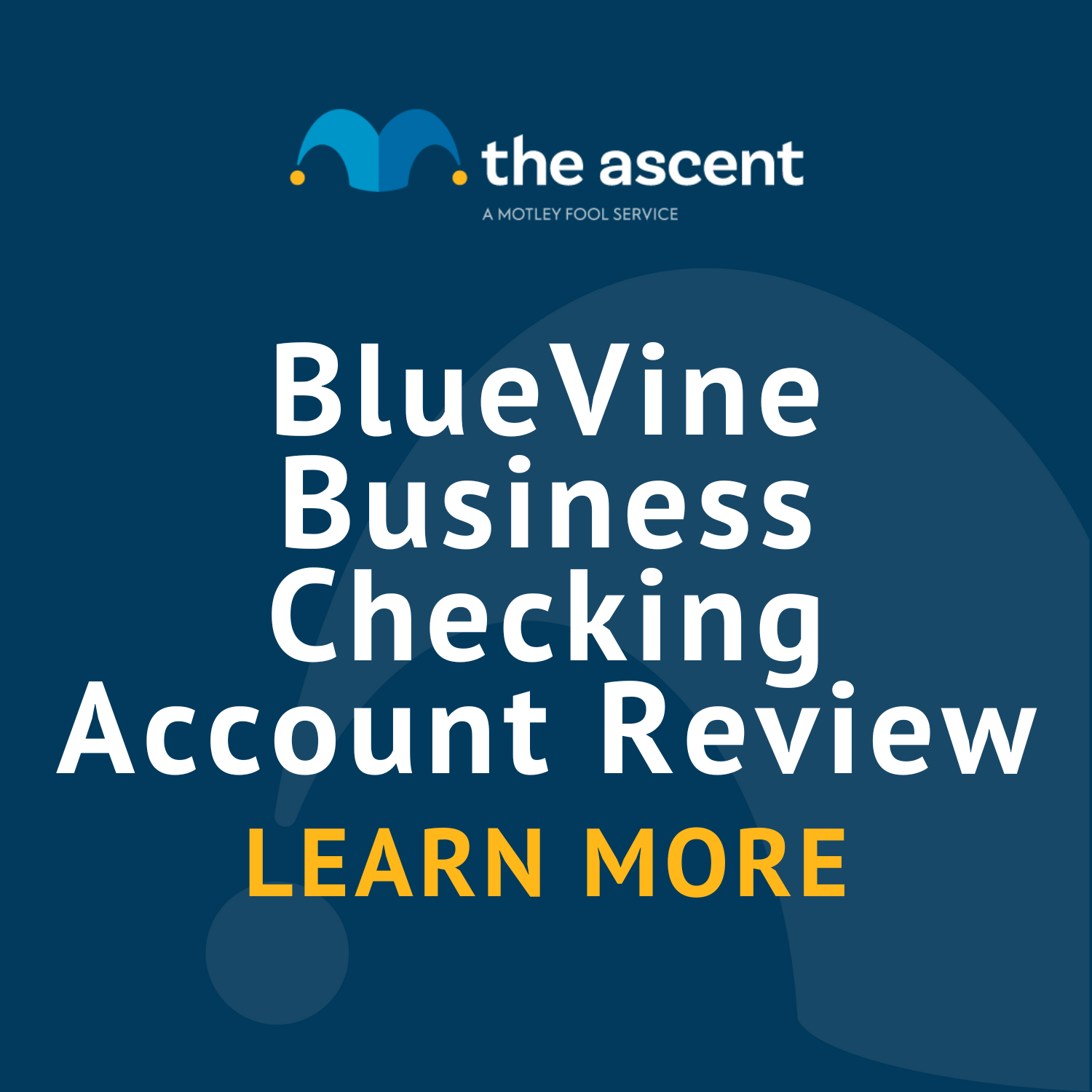 BlueVine Business Checking Account Review 2024