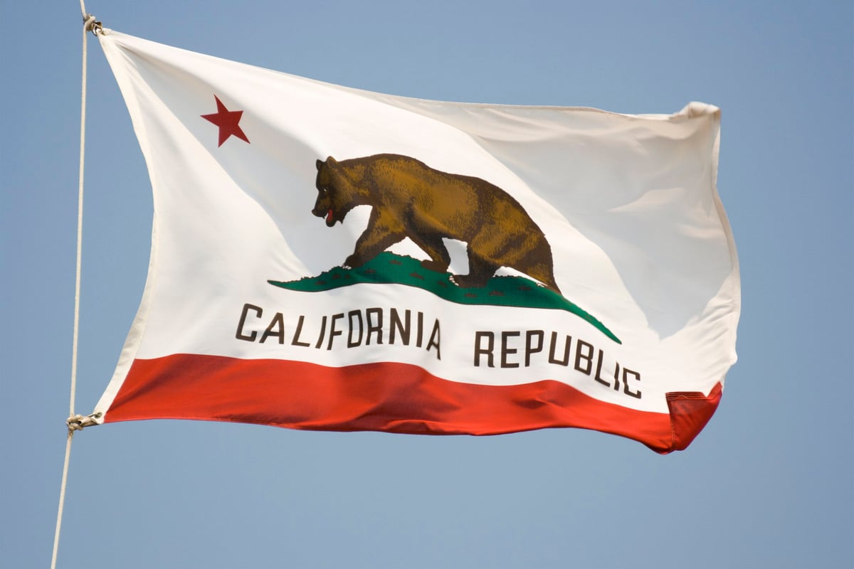 The California state flag fluttering in front of a blue sky.