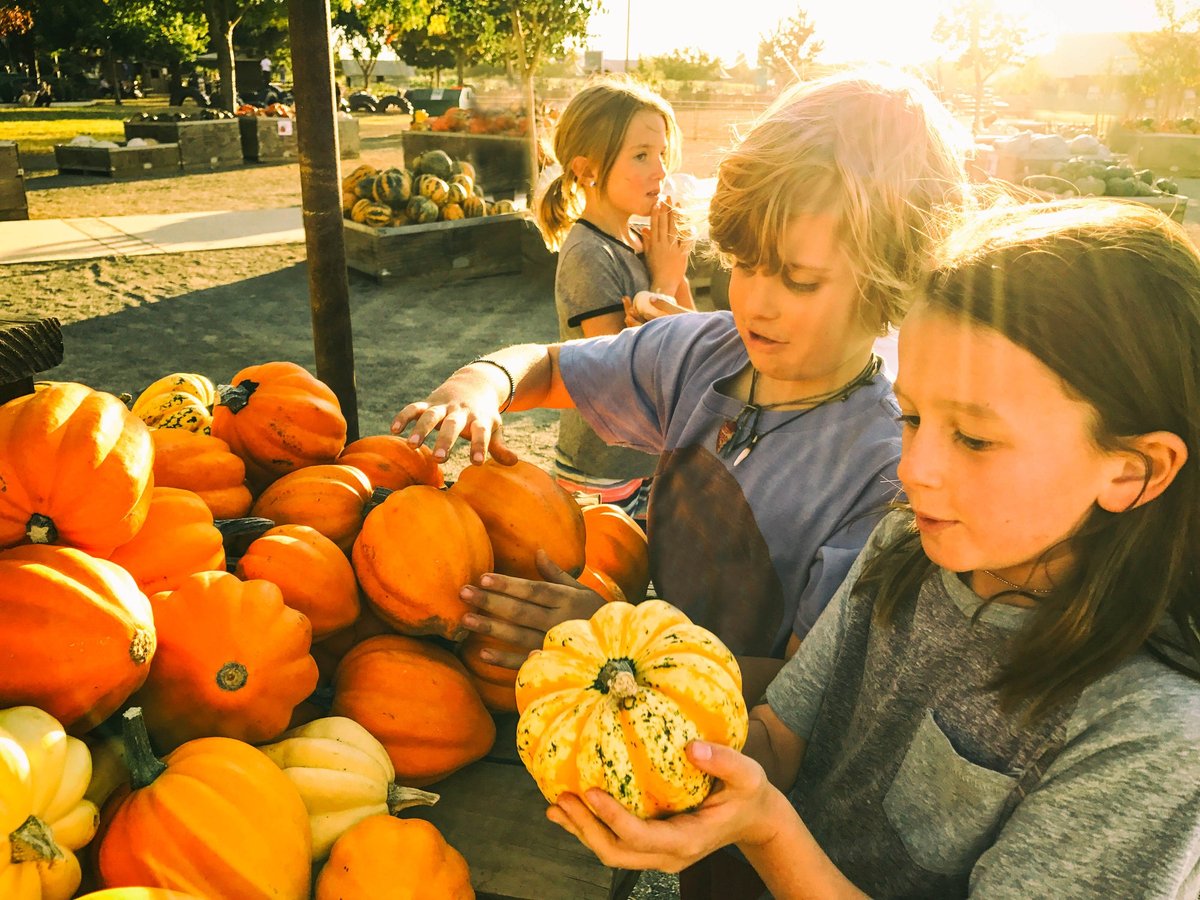 Children picking up pumpkins in the pumpkin field.