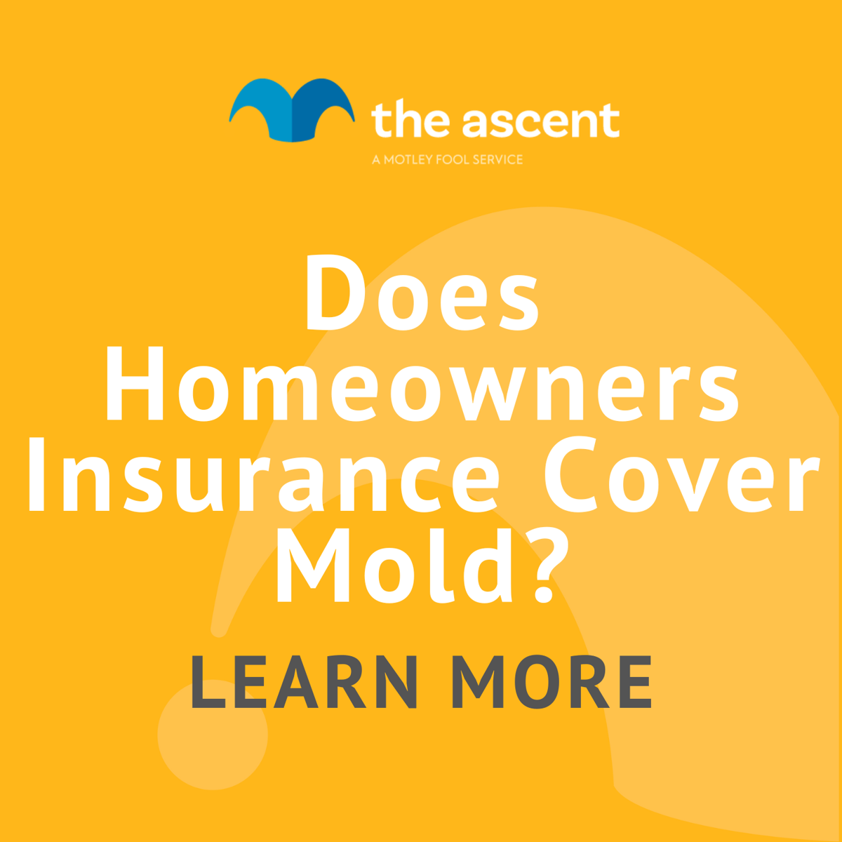 Does Homeowners Insurance Cover Mold? The Motley Fool