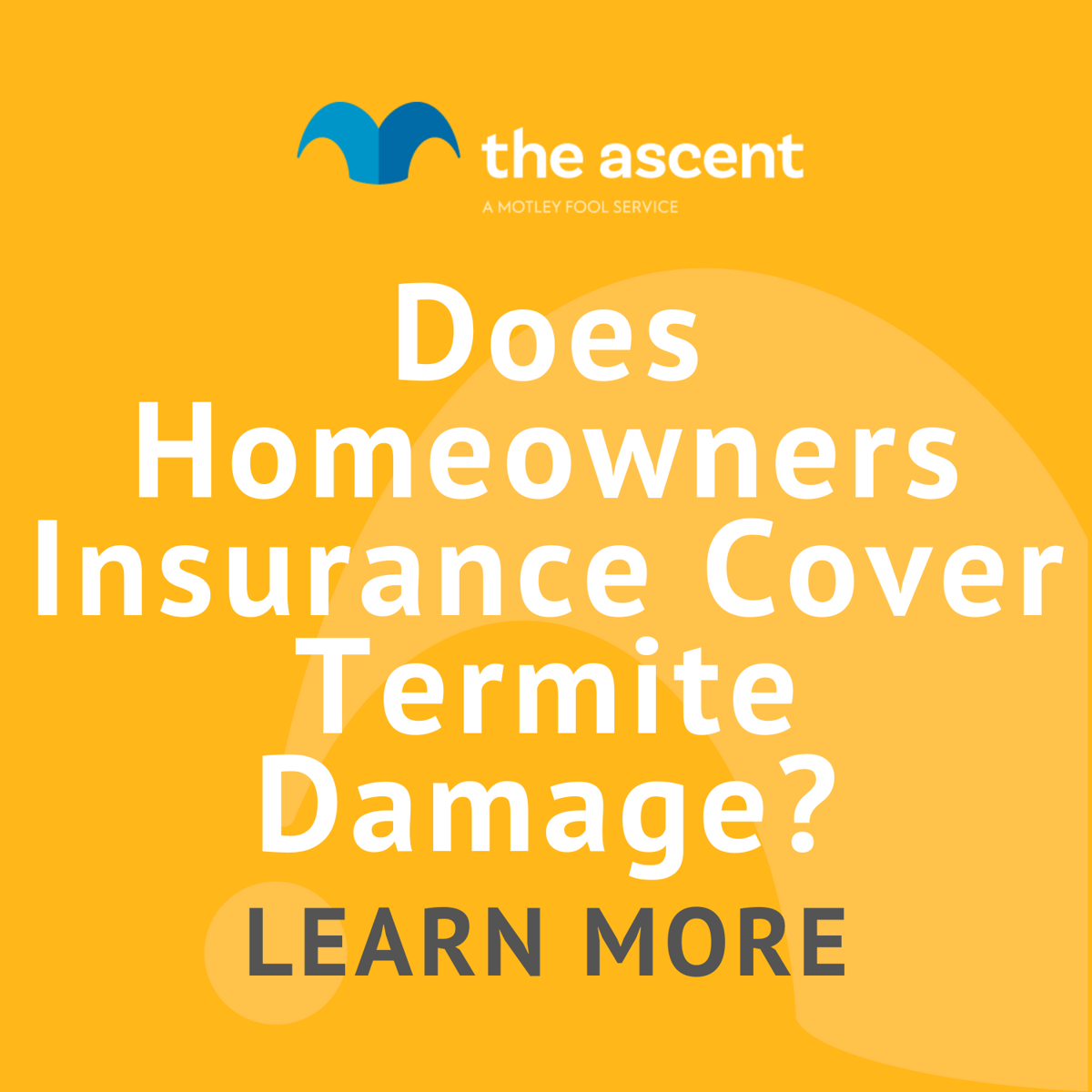 Does Homeowners Insurance Cover Termite Damage? The Motley Fool